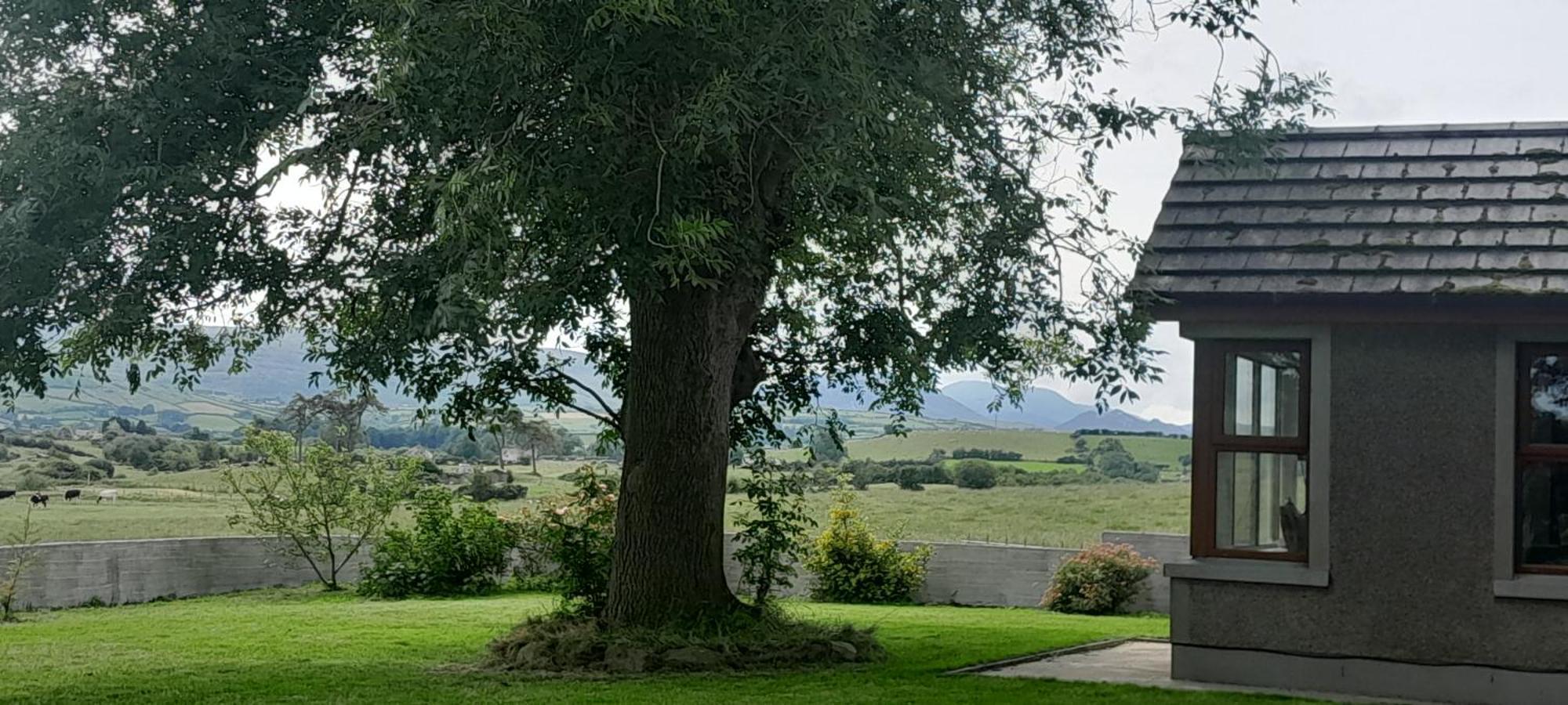 Oaktree Manor Villa Castlewellan Bagian luar foto